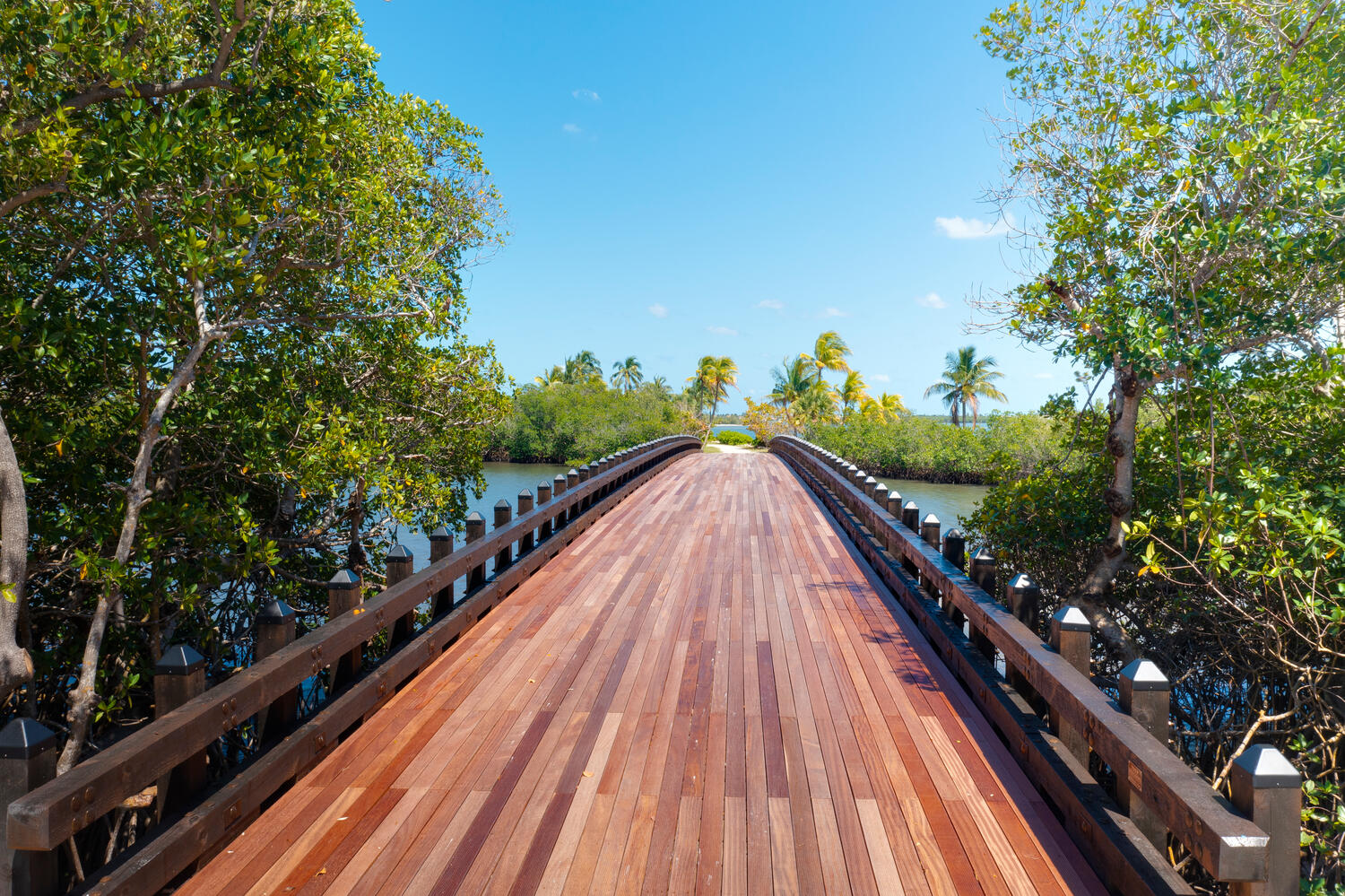 Entryway shot of the Mandalay 2-lane timber vehicular bridge project in Southern Florida