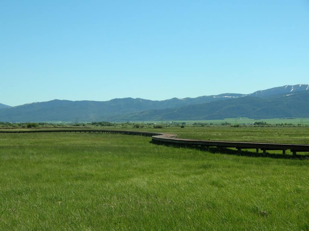 Environmental Significance of Tributary, formerly known as Huntsman Springs springtime boardwalk picture with the Tetons in background built by York Bridge Concepts in Driggs, ID