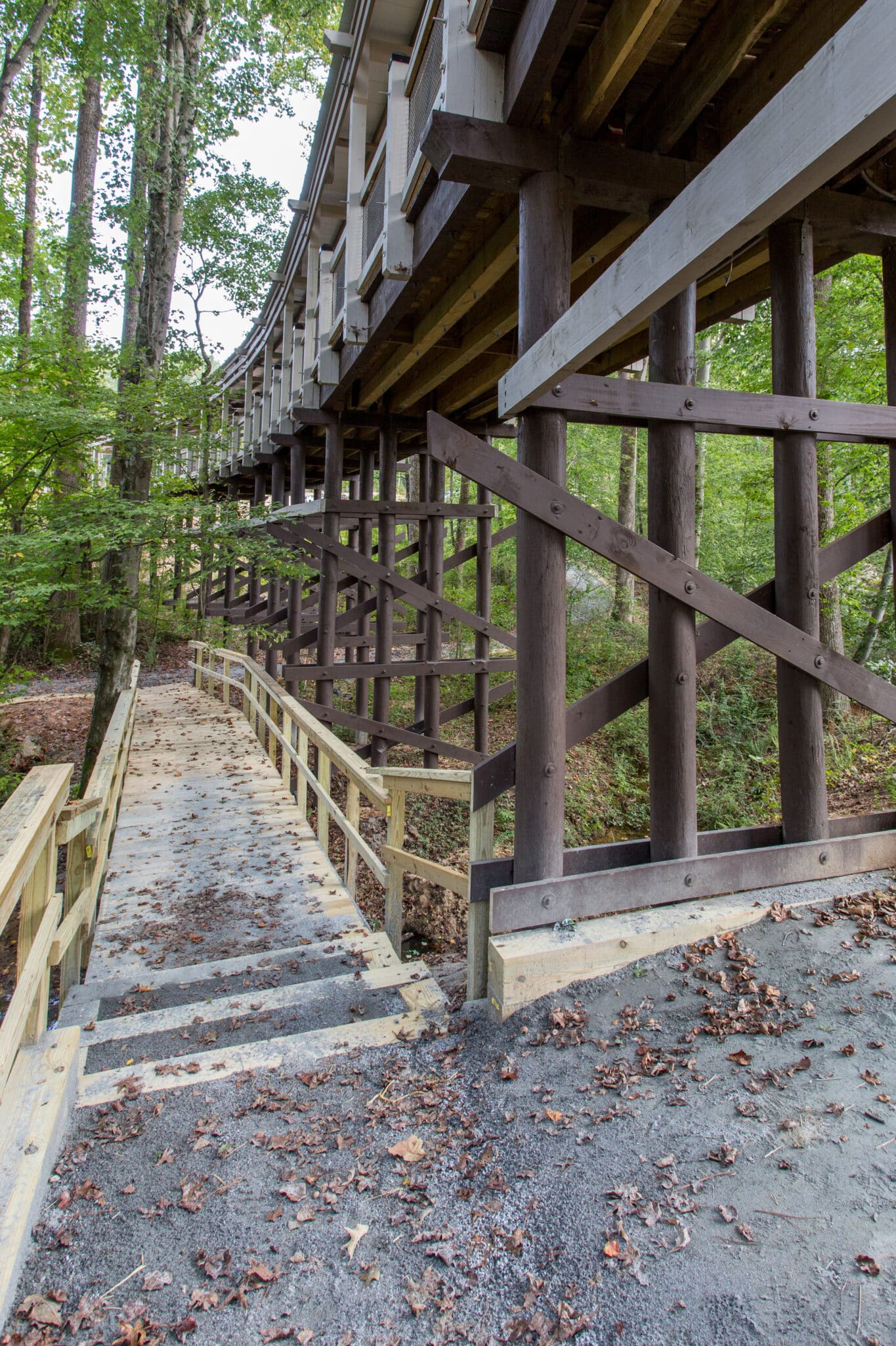 Wellstar East Cobb repetitive spans over a ravine design-built by York Bridge Concepts in Marietta, GA