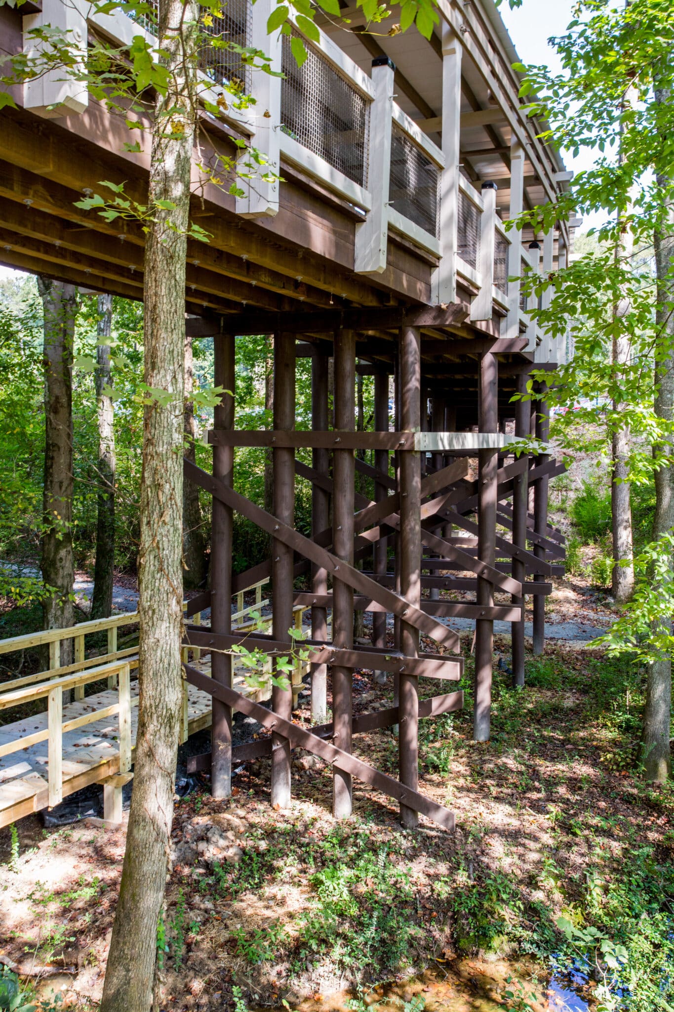 Wellstar profile of repetitive spans for the covered pedestrian timber bridge