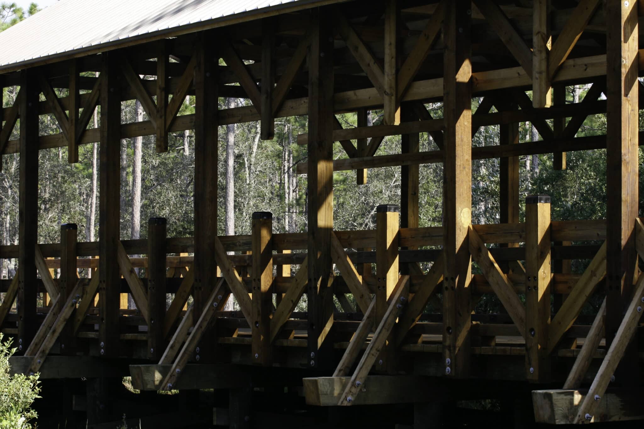 YBC: Crafting excellence in timber bridges since 1985