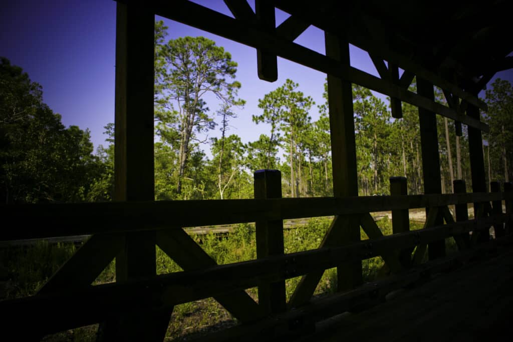 Eco-friendliness of a vehicular timber bridge