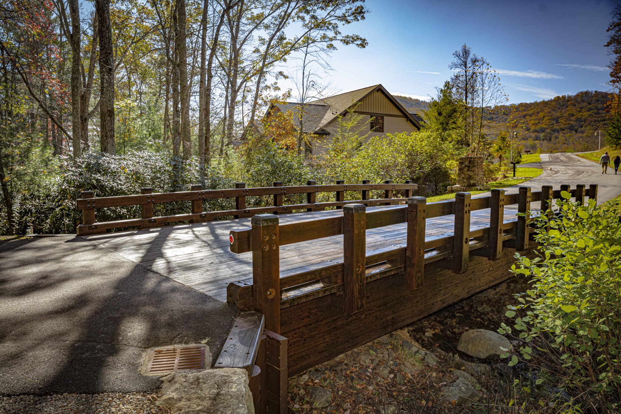 Environmental Benefits of Wooden Bridges with Green Infrastructure