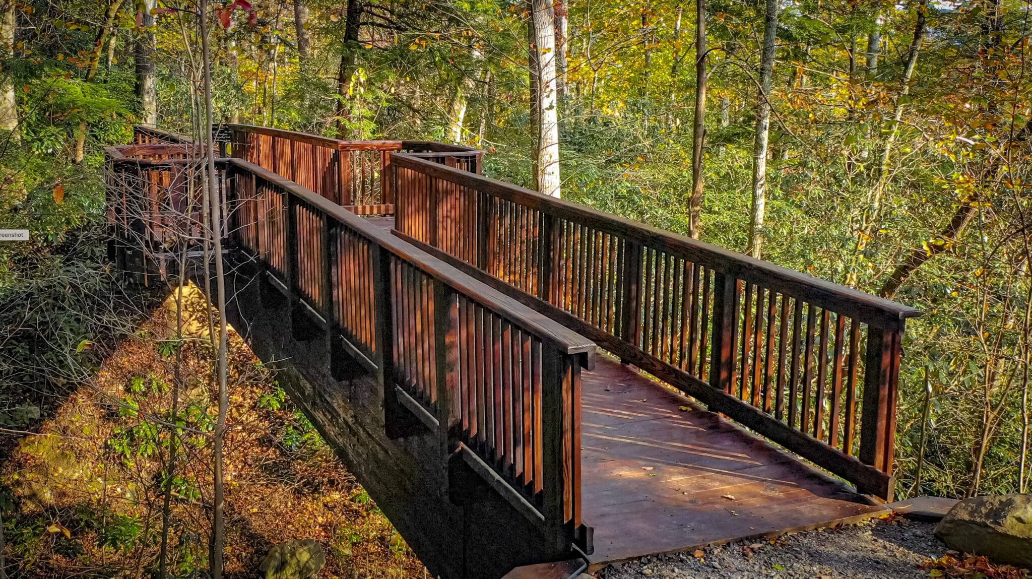 The timber pedestrian bridge in Southcliff Community design-built by YBC