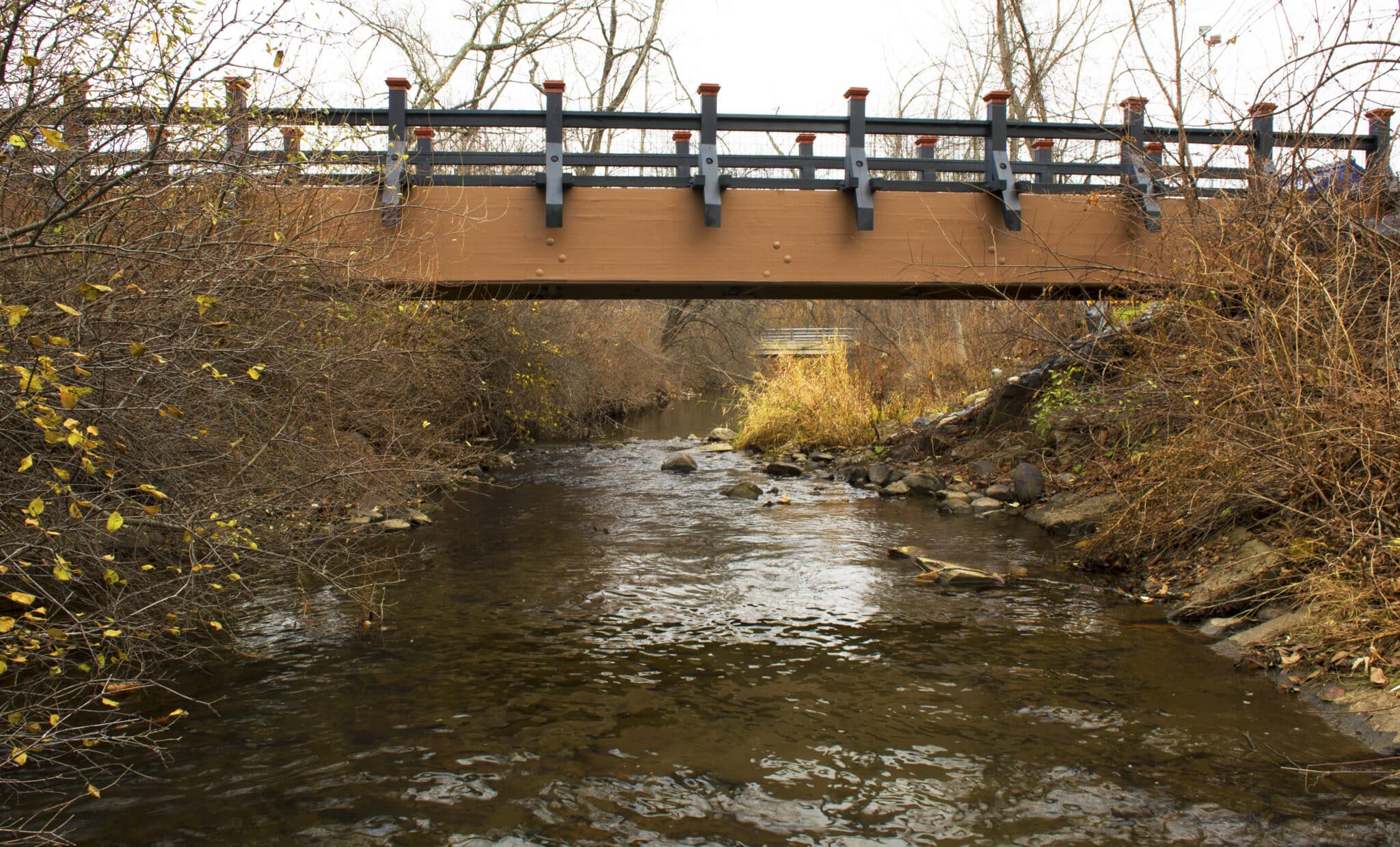 voorhees elementary school free span pedestrian bridge in New York by York Bridge Concepts