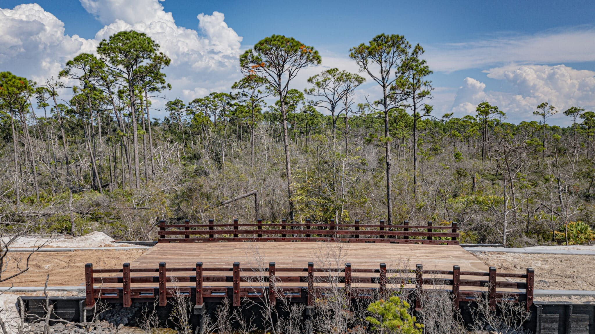 Environmental Benefits of Wooden Bridges with Green Infrastructure