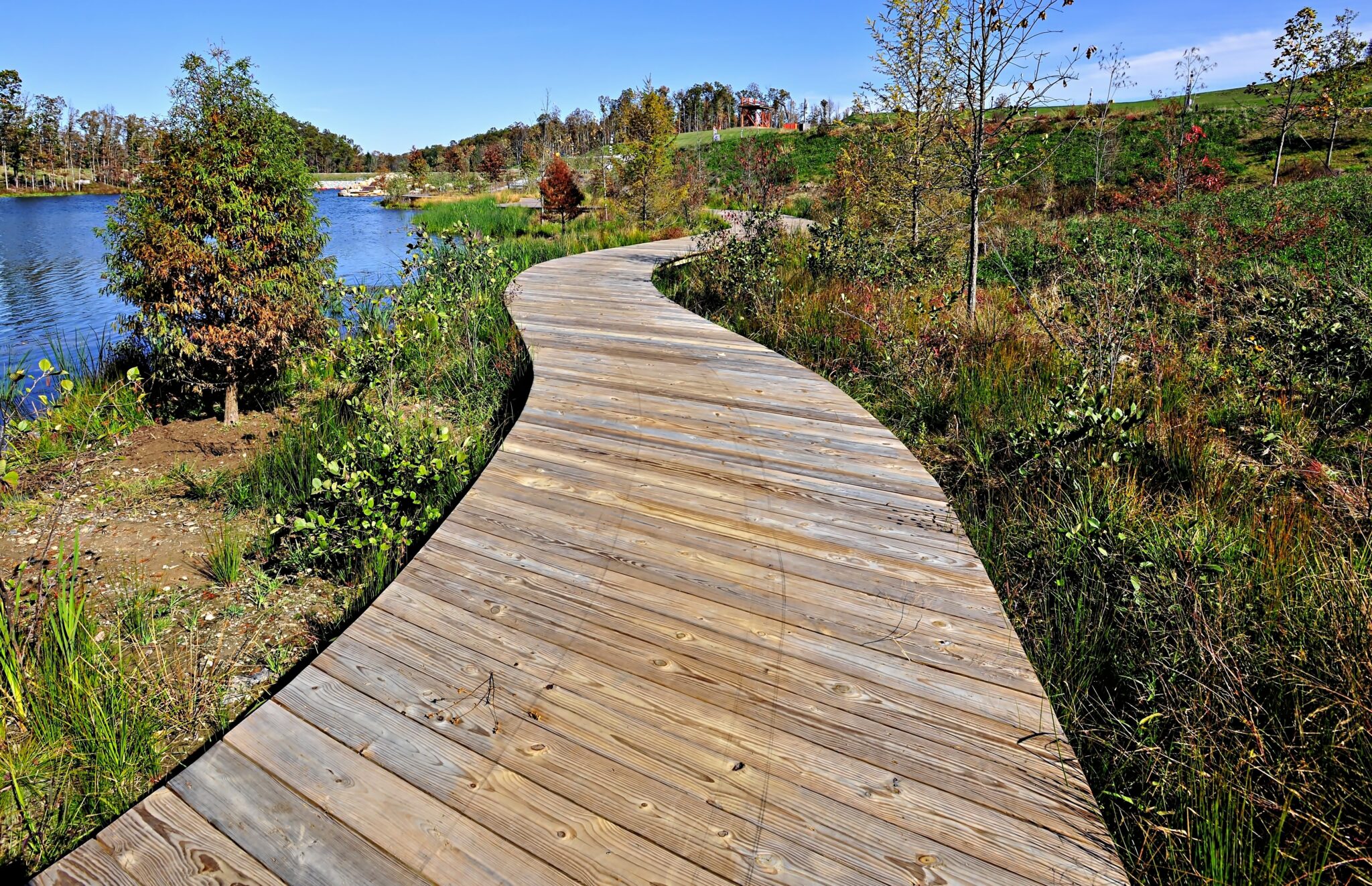 Brown Sea Boardwalk at Summit Bechtel Reserve