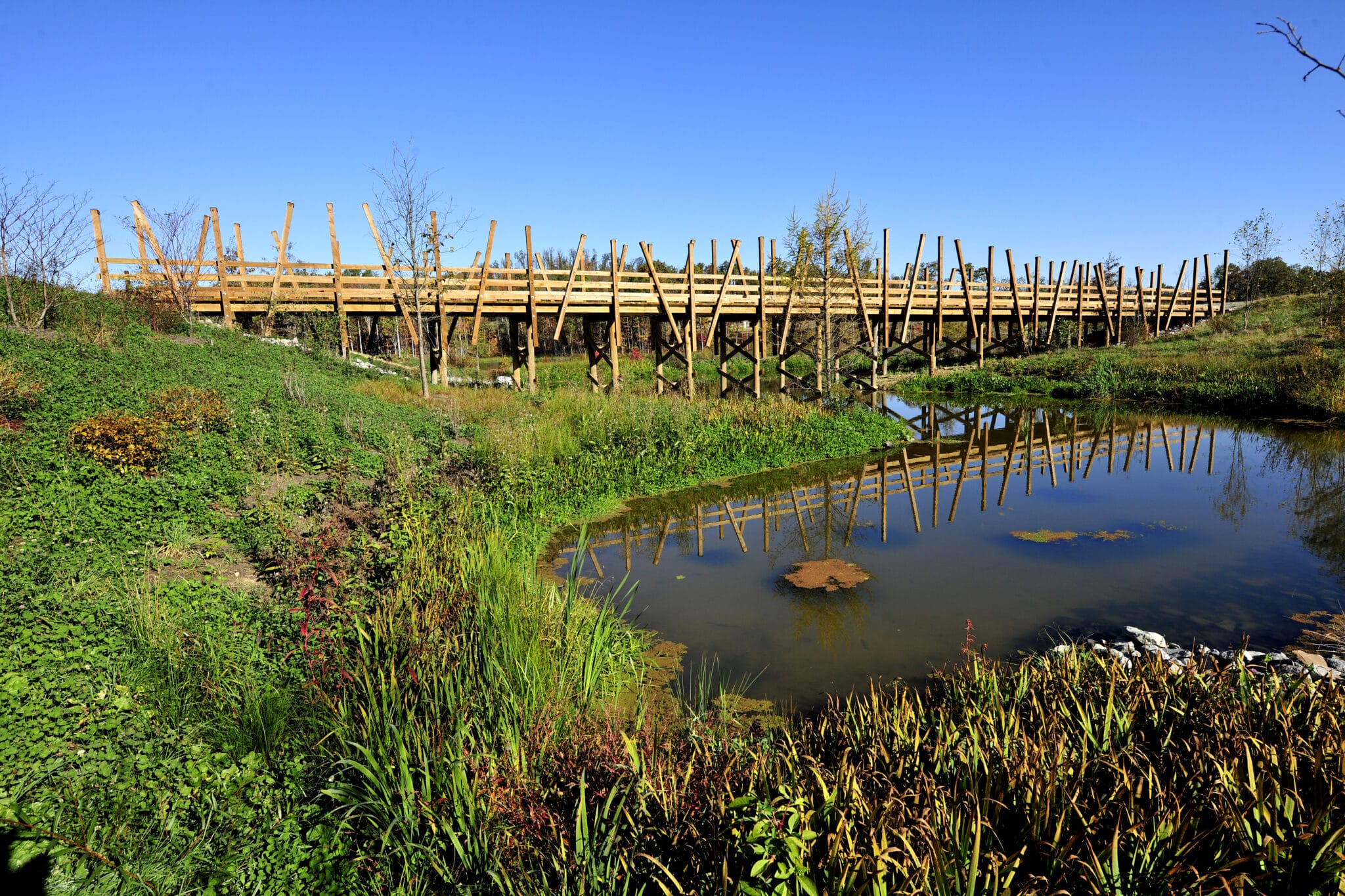 Summit Bechtel Lower Legacy timber pedestrian bridge in Glenn Jean, WV design-built by York Bridge Concepts