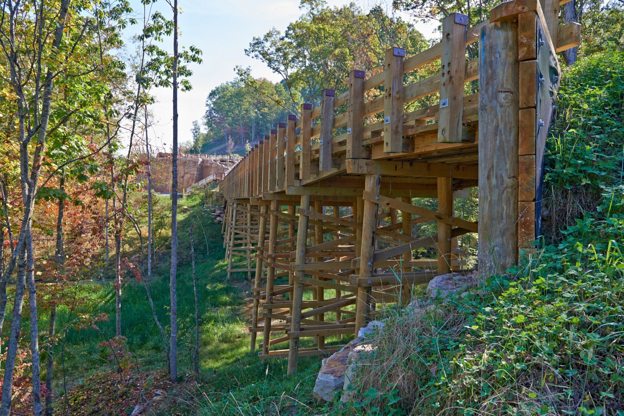 SBR Conservation Vehicular Timber Bridge in Summit Bechtel Reserve by York Bridge Concepts