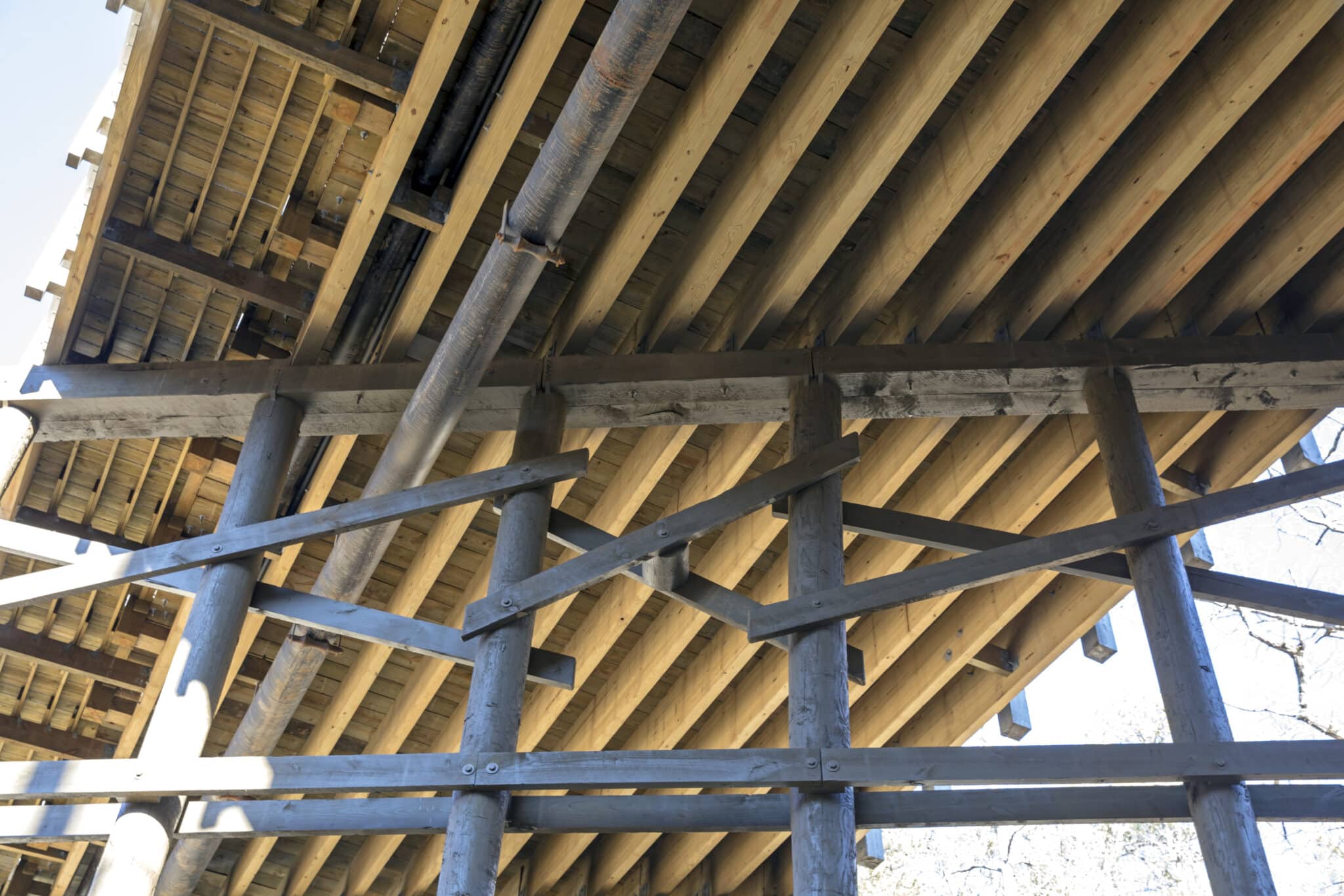 Underside of Inspired Living showcasing the sustainable timber in the substructure.