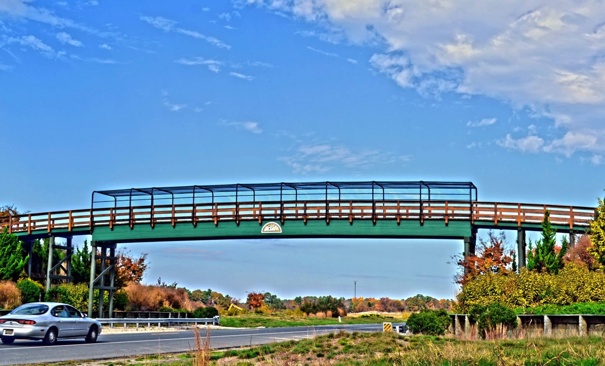 Baywood Greens Overpass Golf Cart Bridge in Delaware built by York Bridge Concepts