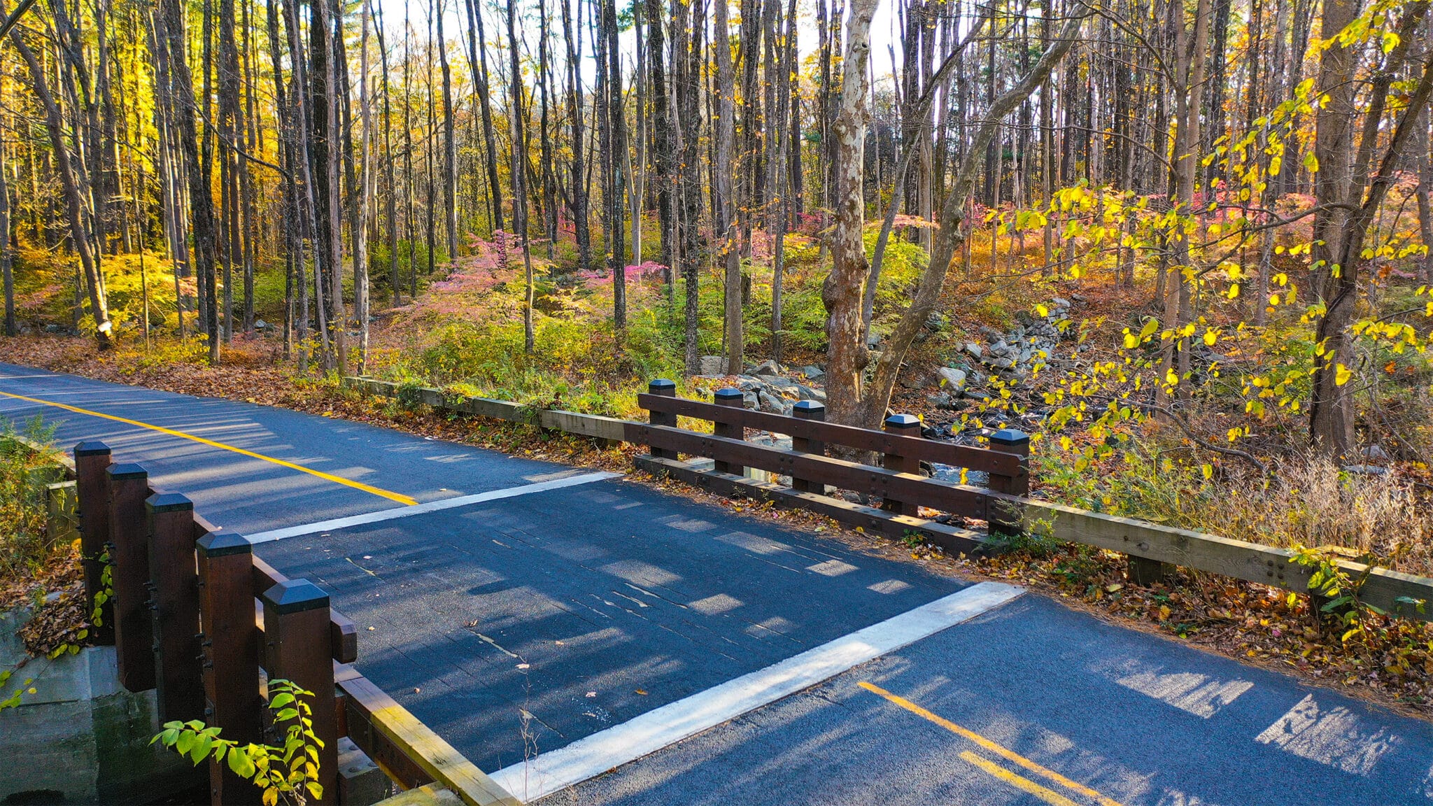 Poverty Hollow HS20-44 timber vehicular bridge profile picture in Redding, CT design-built by York Bridge Concepts