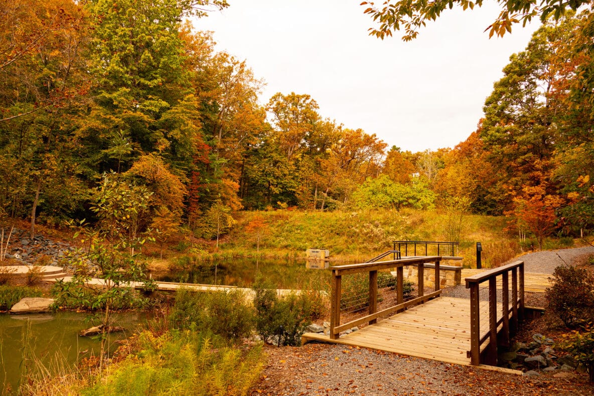 UVA pedestrian bridge profile design-built by York Bridge Concepts in Charlottesville, VA