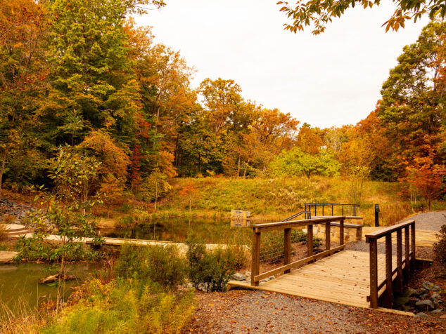 UVA pedestrian bridge profile design-built by York Bridge Concepts in Charlottesville, VA