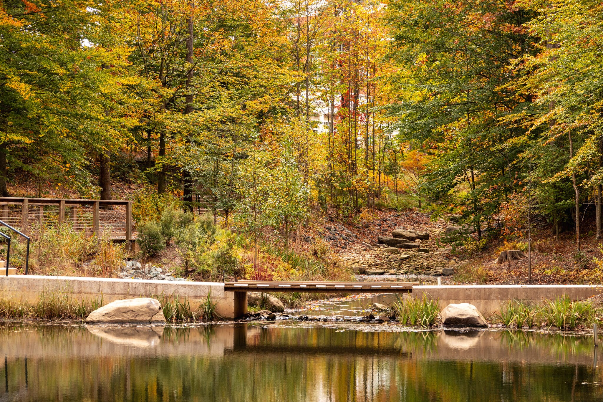 University of Virginia side profile of footbridge from the pond