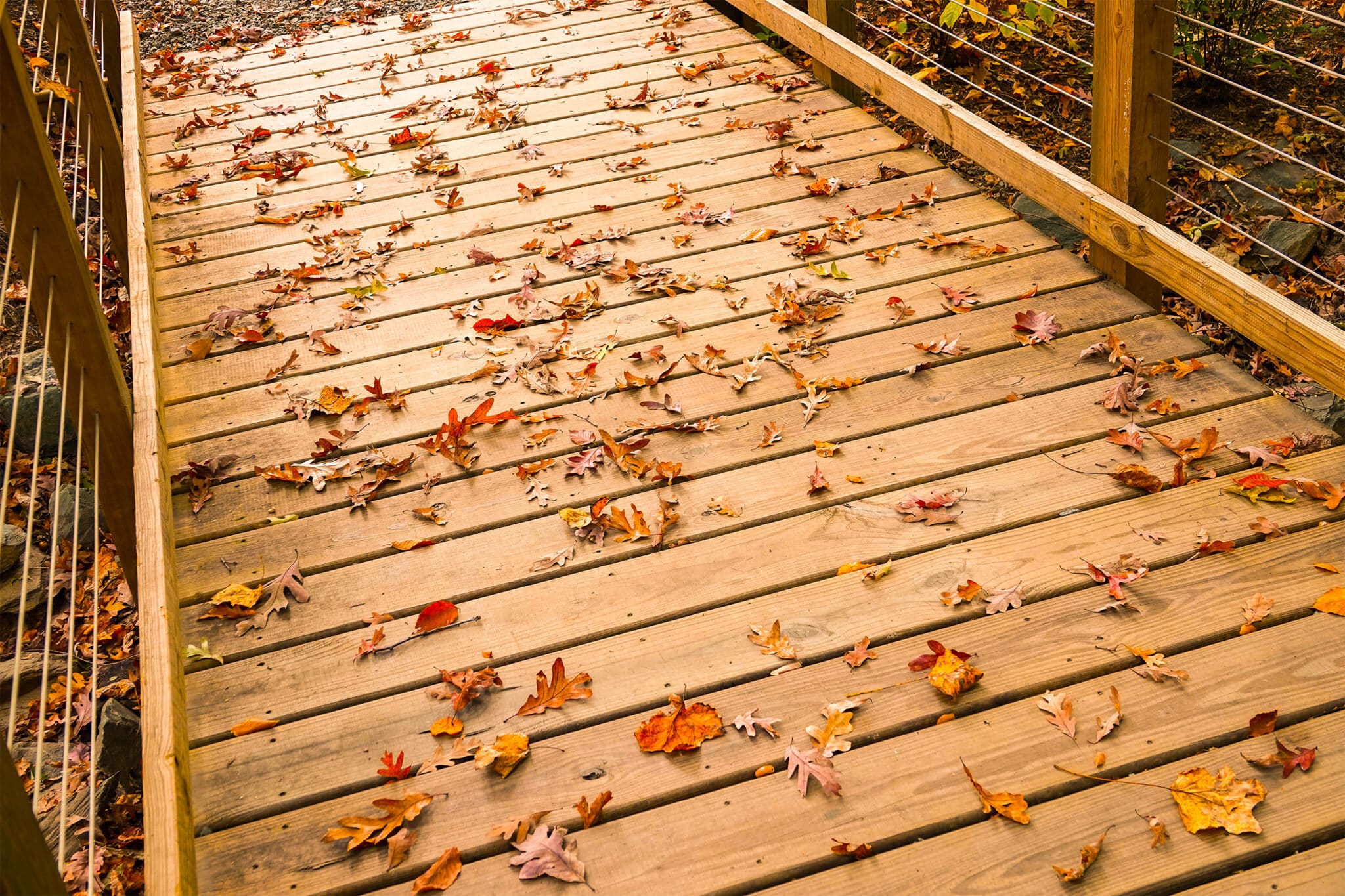 UVA picture of leaves on the YBC pedestrian bridge deck in Charlottesville, VA