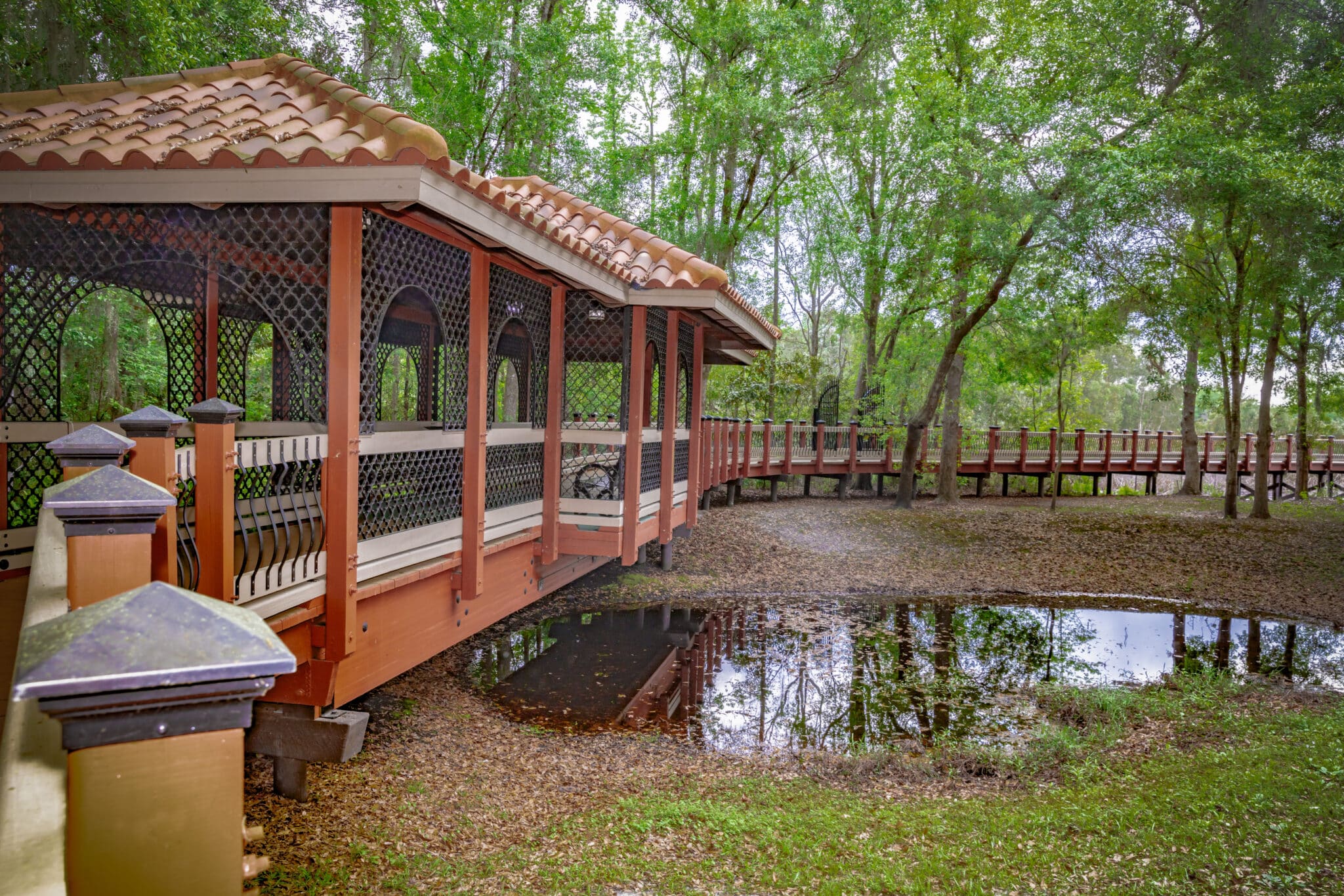 Sienna Village profile view of pavilion timber boardwalk over wetlands