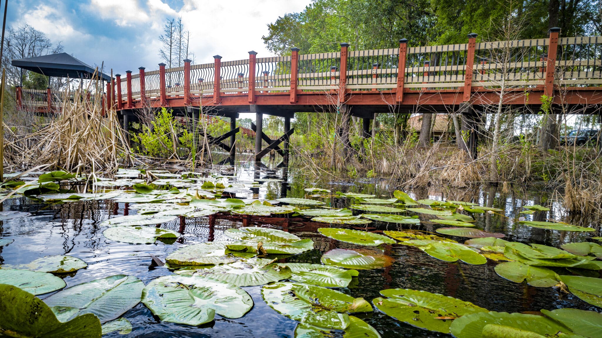 Sienna Village boardwalk over protected wetlands design-built by York Bridge Concepts in Tampa, FL