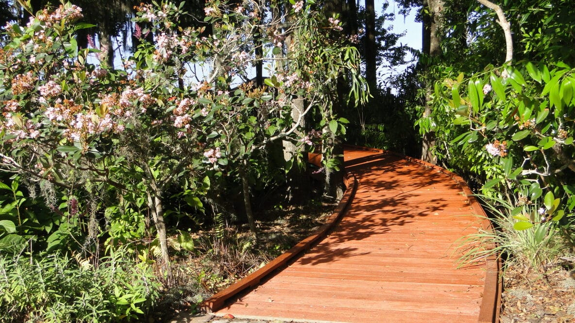 Lakes Edge boardwalk going towards lake