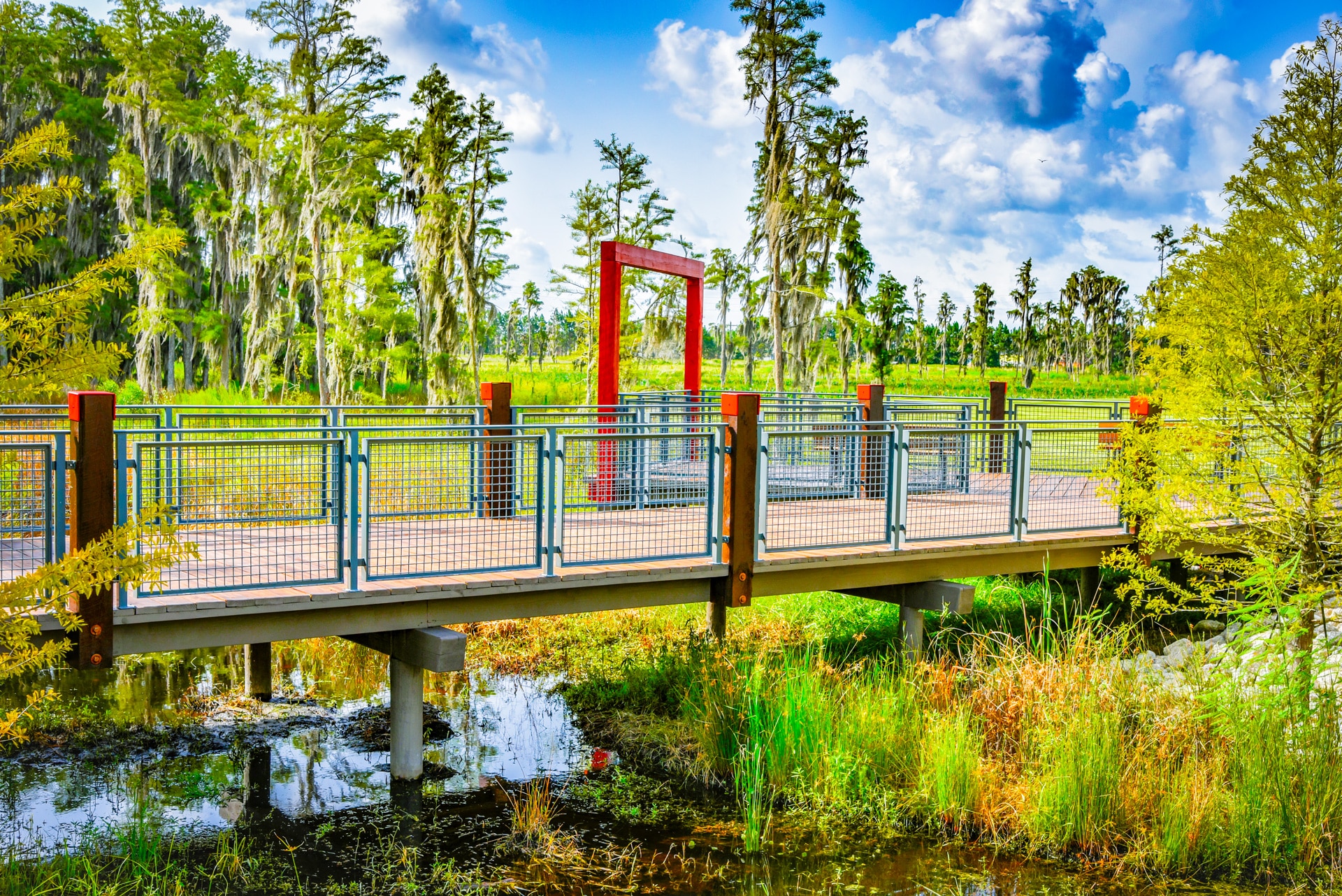 Featured image for “How Boardwalks and Trails Enhance Wetland Access While Protecting the Environment”