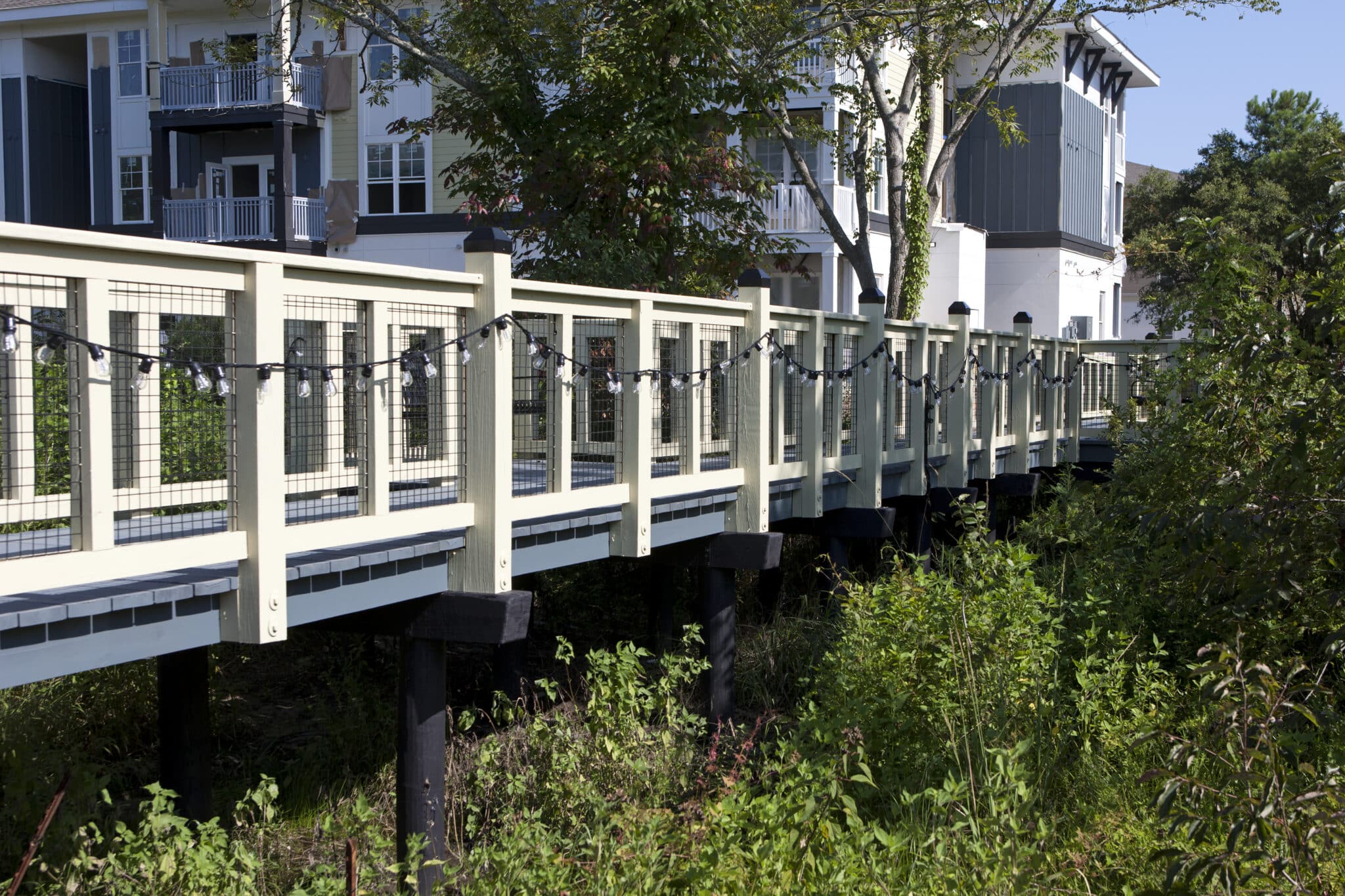 Spyglass - Broadstone Apartments timber boardwalk over protected wetlands.